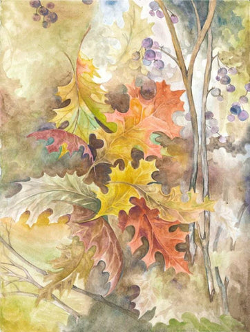 Treasures from Nature White Modern Wood Framed Art Print with Double Matting by Ferry, Margaret