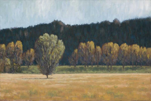 Cottonwood Country I Black Ornate Wood Framed Art Print with Double Matting by Macnab, John
