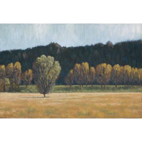 Cottonwood Country I Gold Ornate Wood Framed Art Print with Double Matting by Macnab, John