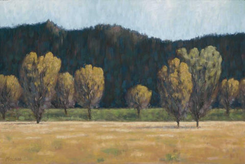 Cottonwood Country II White Modern Wood Framed Art Print with Double Matting by Macnab, John