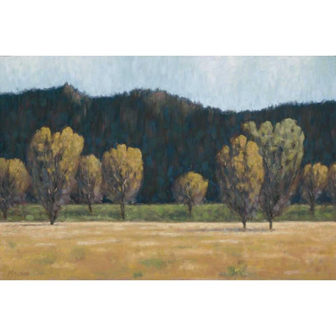 Cottonwood Country II Gold Ornate Wood Framed Art Print with Double Matting by Macnab, John