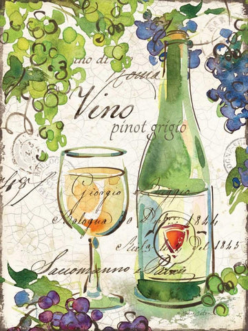 Vin Pinot White Modern Wood Framed Art Print with Double Matting by Paton, Julie