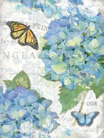 Garden Hydrangea II White Modern Wood Framed Art Print with Double Matting by Paton, Julie