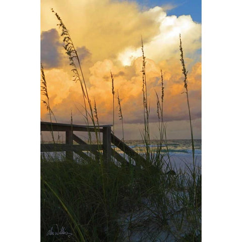 Majestic Coast I Gold Ornate Wood Framed Art Print with Double Matting by Williams, Alex