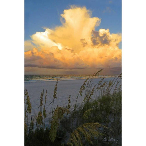 Majestic Coast II Gold Ornate Wood Framed Art Print with Double Matting by Williams, Alex