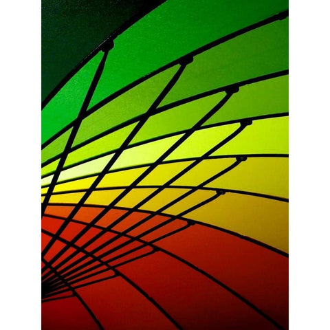 Curves of Color I Gold Ornate Wood Framed Art Print with Double Matting by Burkhart, Monika