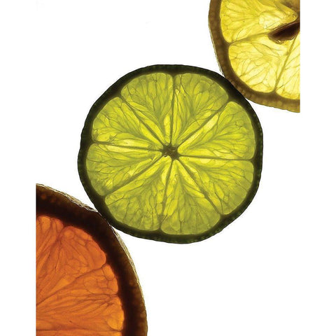 Sliced Fruit III Gold Ornate Wood Framed Art Print with Double Matting by Burkhart, Monika
