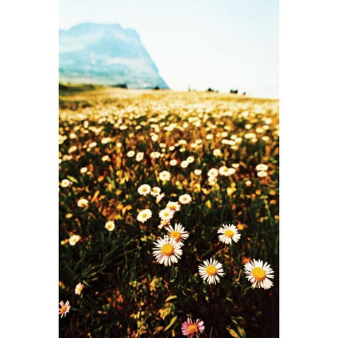 Mountain Summer I Black Modern Wood Framed Art Print with Double Matting by Berzel, Erin
