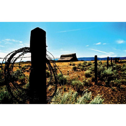 Mountain Summer II Black Modern Wood Framed Art Print with Double Matting by Berzel, Erin