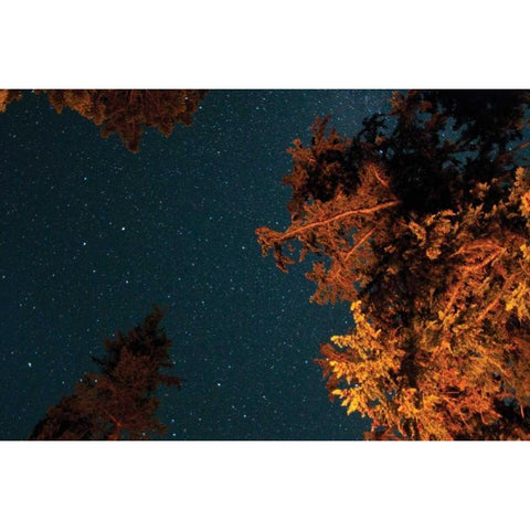 Starry Night II White Modern Wood Framed Art Print by Berzel, Erin