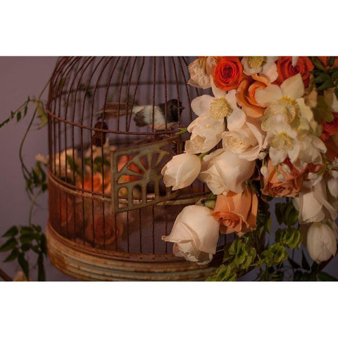 Flowers and Bird Cage II Gold Ornate Wood Framed Art Print with Double Matting by Crane, Rita