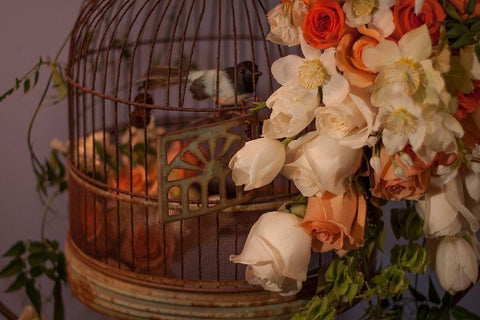 Flowers and Bird Cage II Black Ornate Wood Framed Art Print with Double Matting by Crane, Rita