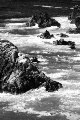 Garrapata Highlands 6 BW Black Ornate Wood Framed Art Print with Double Matting by Hausenflock, Alan