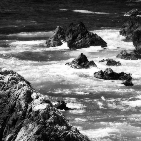 Garrapata 6 BW Square Black Modern Wood Framed Art Print by Hausenflock, Alan