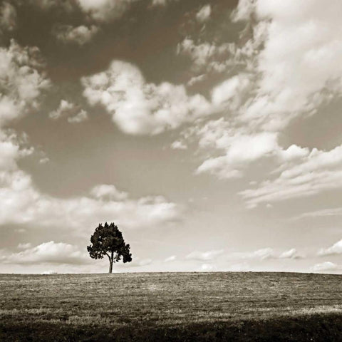 Cloudy Skies Sq III Black Modern Wood Framed Art Print by Hausenflock, Alan