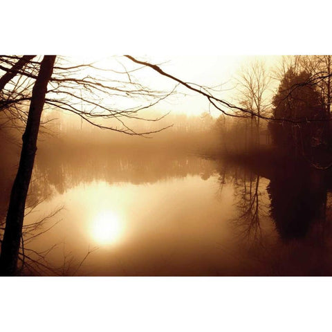 Fog on Shelly Lake II Gold Ornate Wood Framed Art Print with Double Matting by Hausenflock, Alan