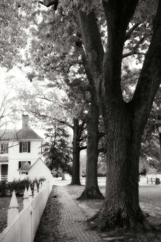 Small Town Autumn IV White Modern Wood Framed Art Print with Double Matting by Hausenflock, Alan