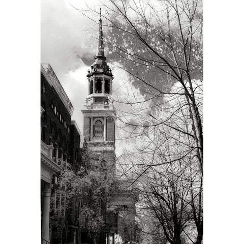 Renewal II Black Modern Wood Framed Art Print by Hausenflock, Alan