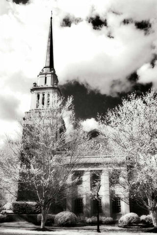 Renewal IV Black Ornate Wood Framed Art Print with Double Matting by Hausenflock, Alan