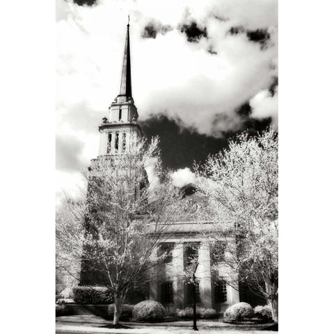 Renewal IV Gold Ornate Wood Framed Art Print with Double Matting by Hausenflock, Alan