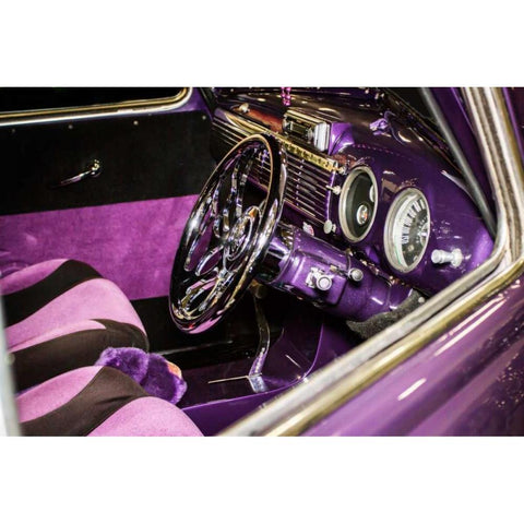 Purple Flamer III Black Modern Wood Framed Art Print with Double Matting by Hausenflock, Alan