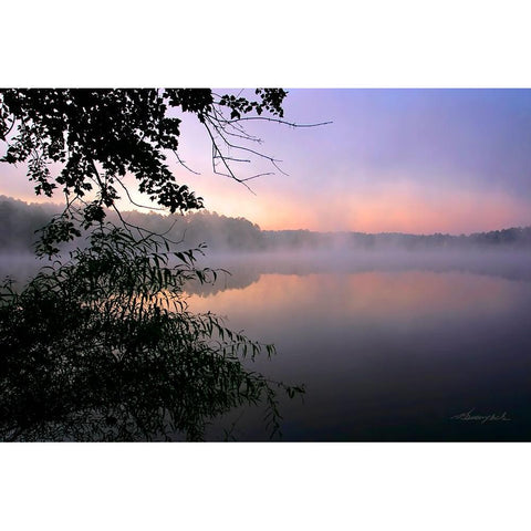 Shelley Lake Fog Gold Ornate Wood Framed Art Print with Double Matting by Hausenflock, Alan