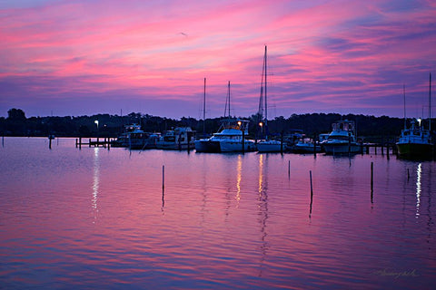 Harbor Sunrise Black Modern Wood Framed Art Print by Hausenflock, Alan