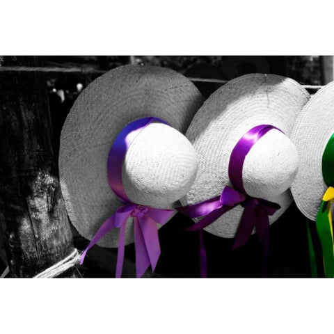 Fancy Hats II Black Modern Wood Framed Art Print with Double Matting by Hausenflock, Alan