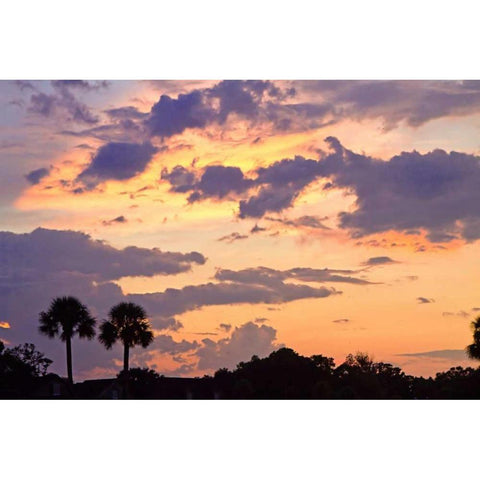 San Marcos Sunset III Gold Ornate Wood Framed Art Print with Double Matting by Hausenflock, Alan
