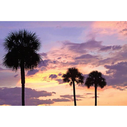 San Marcos Sunset IV Gold Ornate Wood Framed Art Print with Double Matting by Hausenflock, Alan