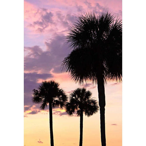 San Marcos Sunset VI Gold Ornate Wood Framed Art Print with Double Matting by Hausenflock, Alan