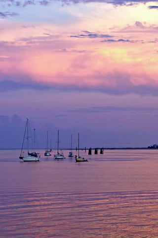 St. Augustine Harbor Sunset IV Black Ornate Wood Framed Art Print with Double Matting by Hausenflock, Alan
