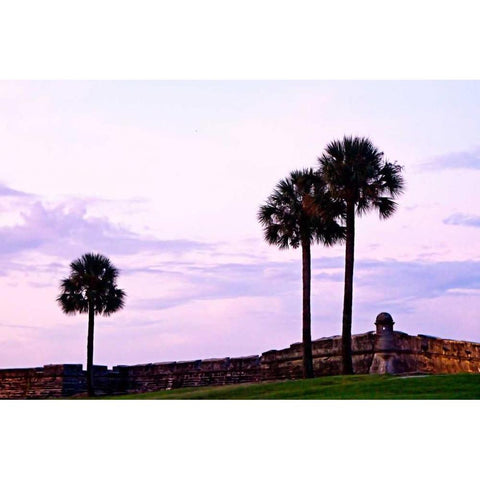 Castillo II Black Modern Wood Framed Art Print with Double Matting by Hausenflock, Alan