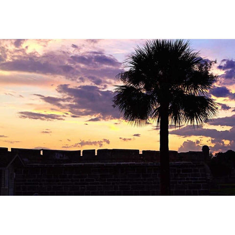 Days End I Black Modern Wood Framed Art Print by Hausenflock, Alan