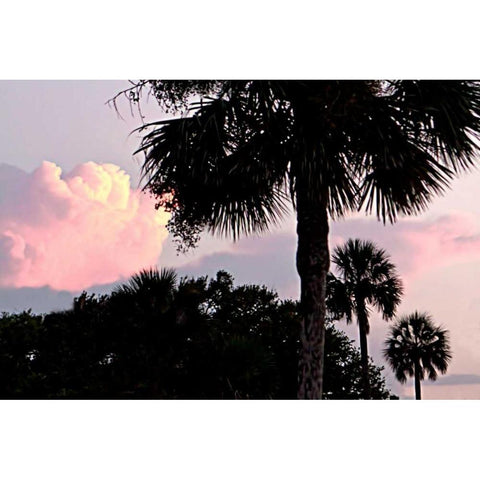 Days End II Black Modern Wood Framed Art Print by Hausenflock, Alan