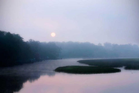 Fog on the Mattaponi I White Modern Wood Framed Art Print with Double Matting by Hausenflock, Alan