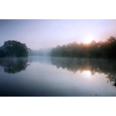Fog on the Mattaponi VIII Gold Ornate Wood Framed Art Print with Double Matting by Hausenflock, Alan