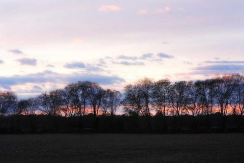 Winter Sunset I White Modern Wood Framed Art Print with Double Matting by Hausenflock, Alan