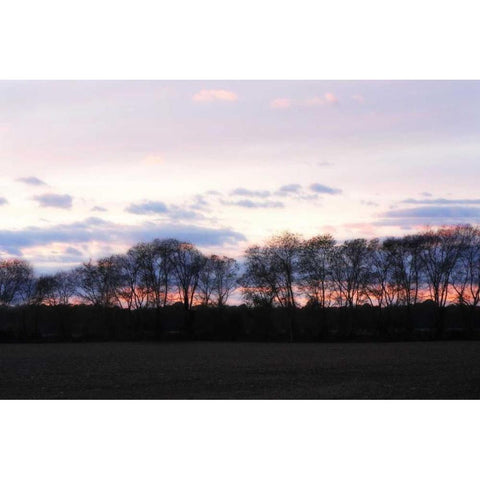 Winter Sunset I Gold Ornate Wood Framed Art Print with Double Matting by Hausenflock, Alan