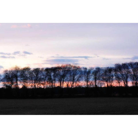 Winter Sunset II Gold Ornate Wood Framed Art Print with Double Matting by Hausenflock, Alan