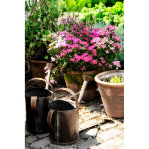 The Garden Nook III Gold Ornate Wood Framed Art Print with Double Matting by Hausenflock, Alan