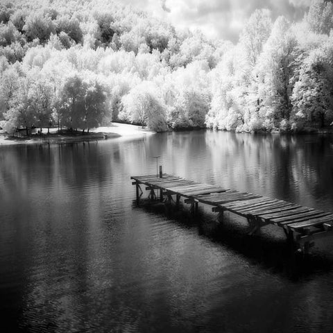 Mint Springs Lake Square IV Black Modern Wood Framed Art Print by Hausenflock, Alan