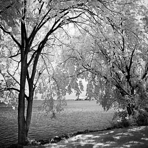 Hopewell Shores Square I Black Modern Wood Framed Art Print by Hausenflock, Alan