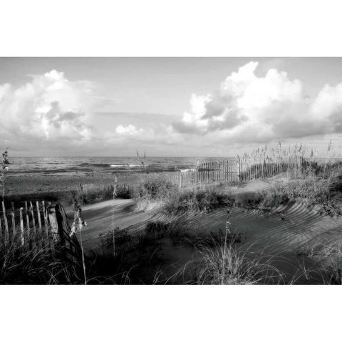 Dunes II White Modern Wood Framed Art Print by Hausenflock, Alan