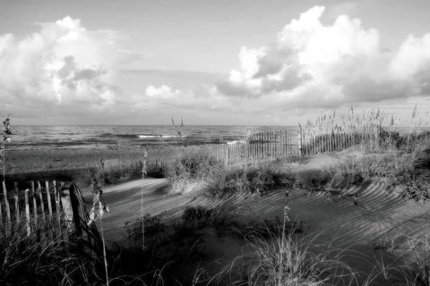 Dunes II Black Ornate Wood Framed Art Print with Double Matting by Hausenflock, Alan
