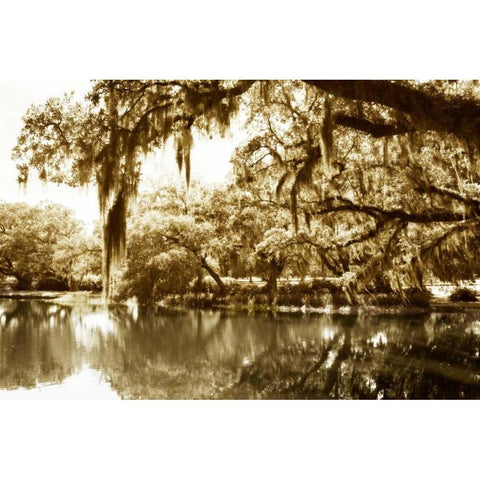 Mossy Lake II Gold Ornate Wood Framed Art Print with Double Matting by Hausenflock, Alan