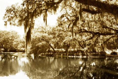 Mossy Lake II White Modern Wood Framed Art Print with Double Matting by Hausenflock, Alan