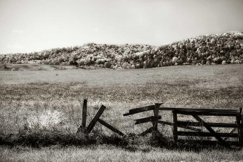 Autumn Pastures III White Modern Wood Framed Art Print with Double Matting by Hausenflock, Alan