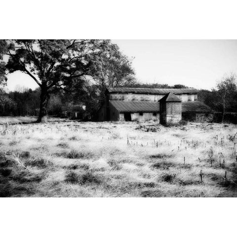 Fallow Fields I Gold Ornate Wood Framed Art Print with Double Matting by Hausenflock, Alan