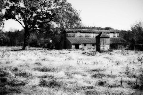 Fallow Fields I White Modern Wood Framed Art Print with Double Matting by Hausenflock, Alan